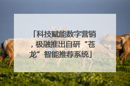 科技赋能数字营销，极融推出自研“苍龙”智能推荐系统